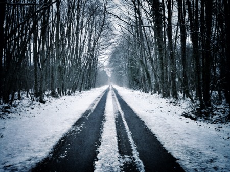 A snow-covered road in the forest