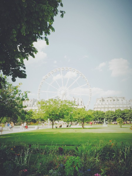 Summer shot at Jardin des Tuileries